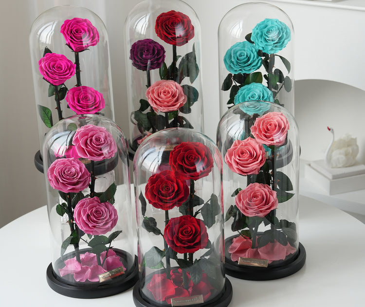 Serafina Rose Dome Collection