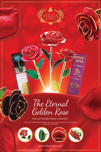 24K Eternal Golden Rose | Juicy Orange