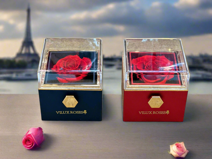 Mystic Navy Rotating Rose Gift Box