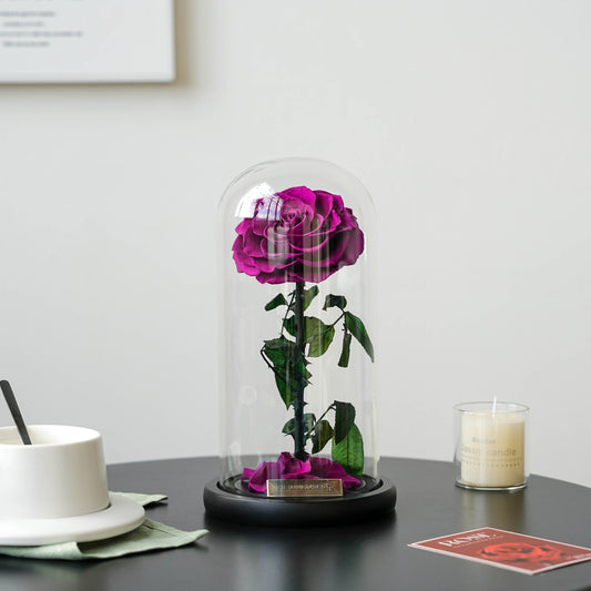 Serafina Rose Dome | Purple