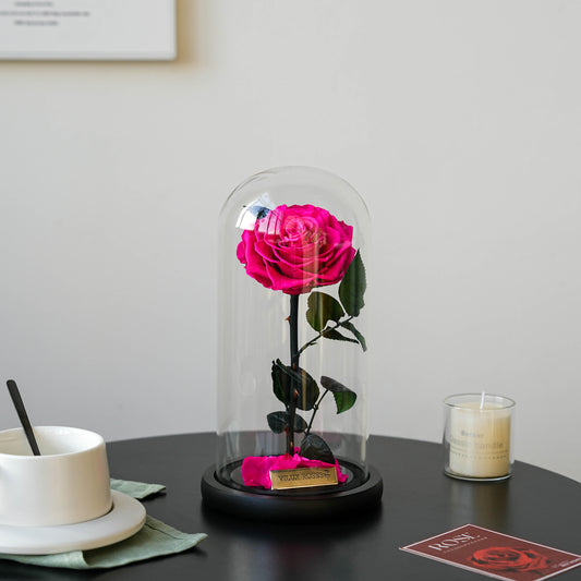 Serafina Rose Dome | Hot Pink