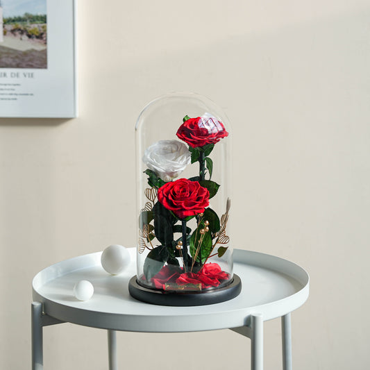 Serafina Rose Dome Trio | Holiday Edition (Red/White/Red)