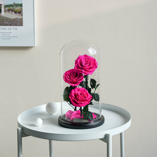 Serafina Rose Dome Trio | Hot Pink