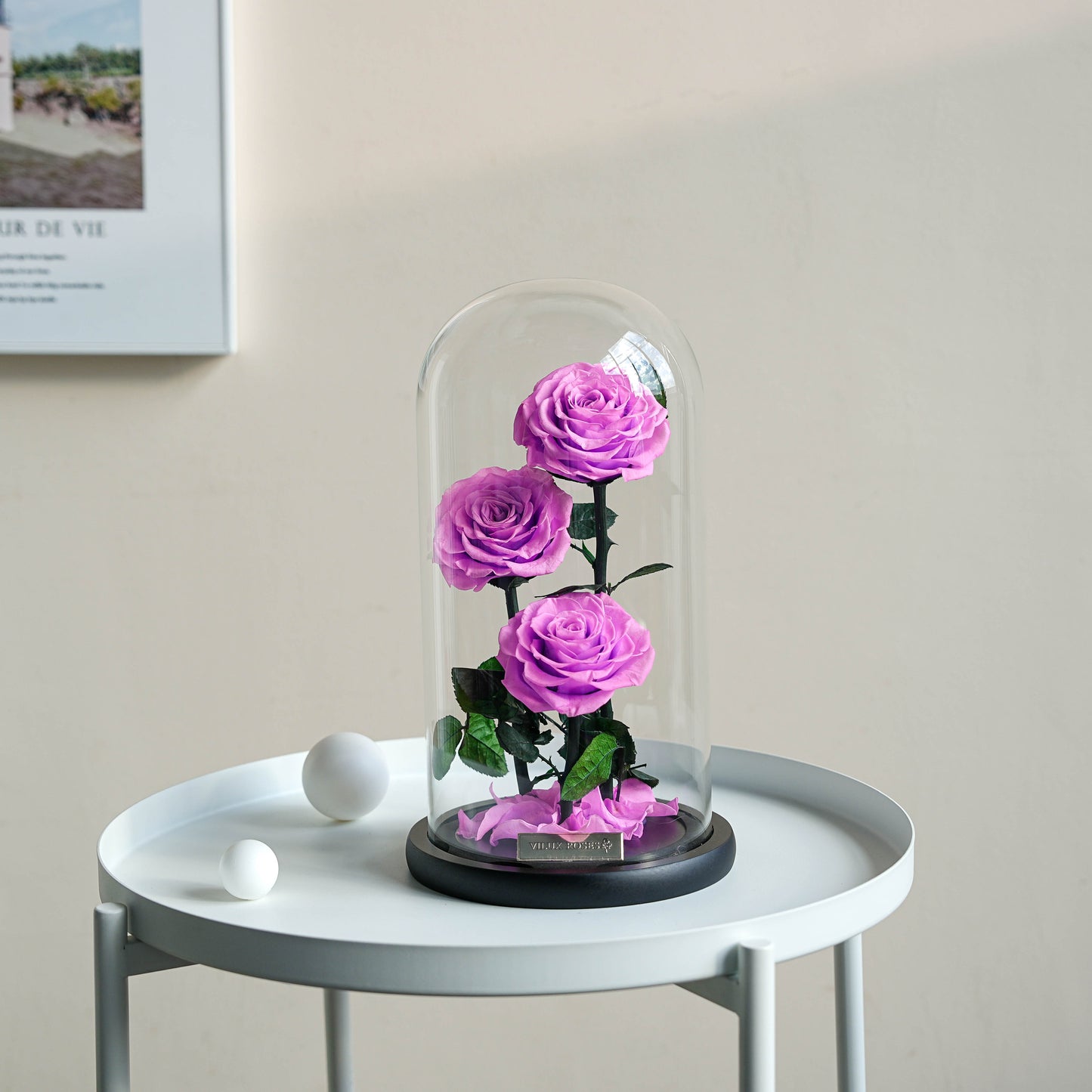 Serafina Rose Dome Trio | Pink Purple