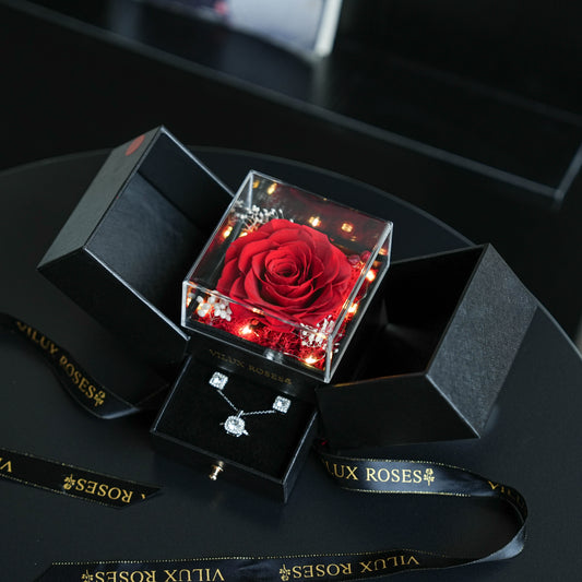 Open Door Eternal Rose Acrylic Gift Box - Black Box