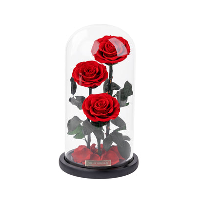 Serafina Rose Dome Trio | Red