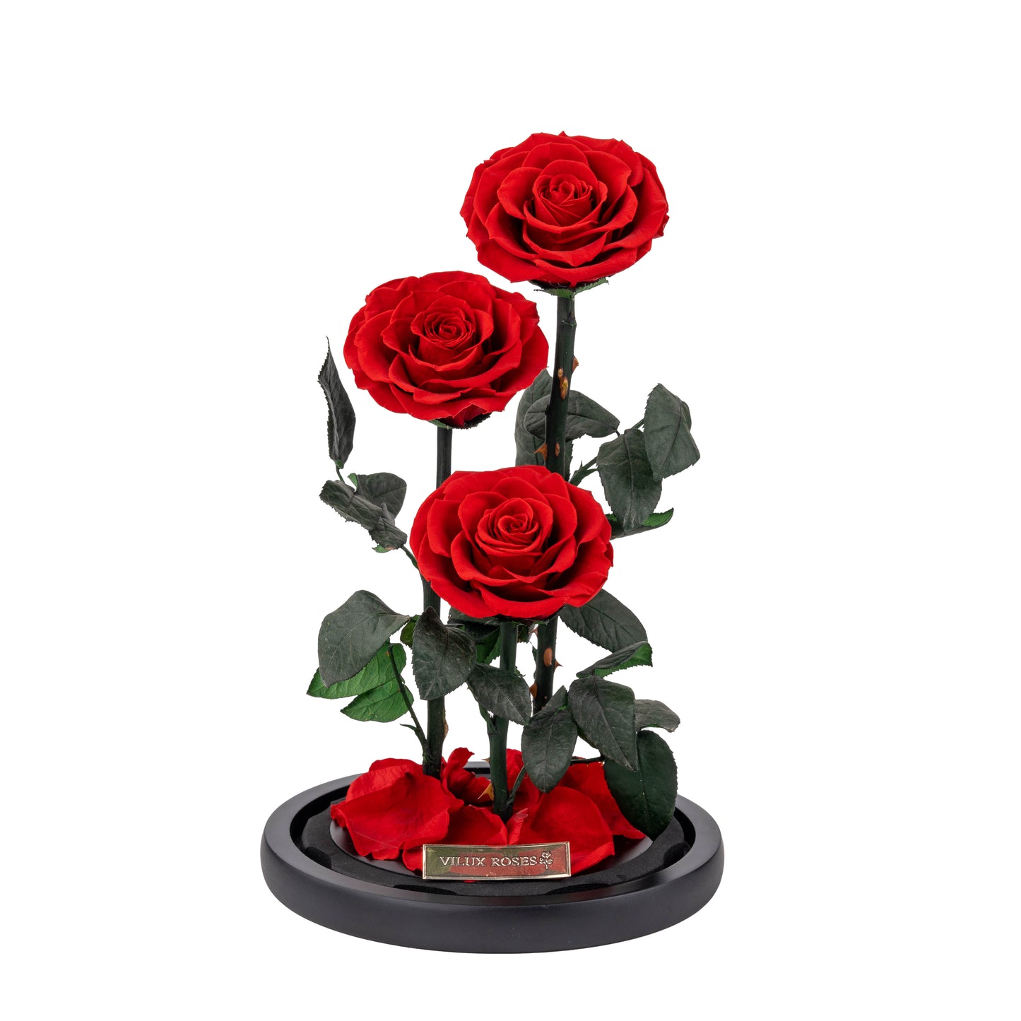 Serafina Rose Dome Trio | Red