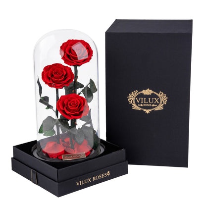 Serafina Rose Dome Trio | Red