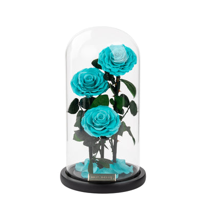 Serafina Rose Dome Trio | Tiffany Blue