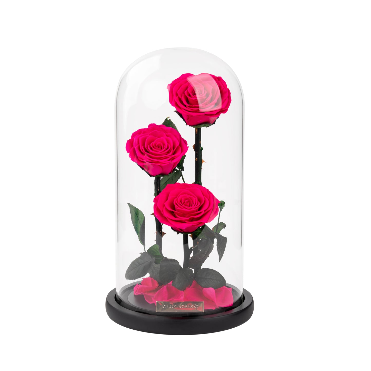 Serafina Rose Dome Trio | Hot Pink