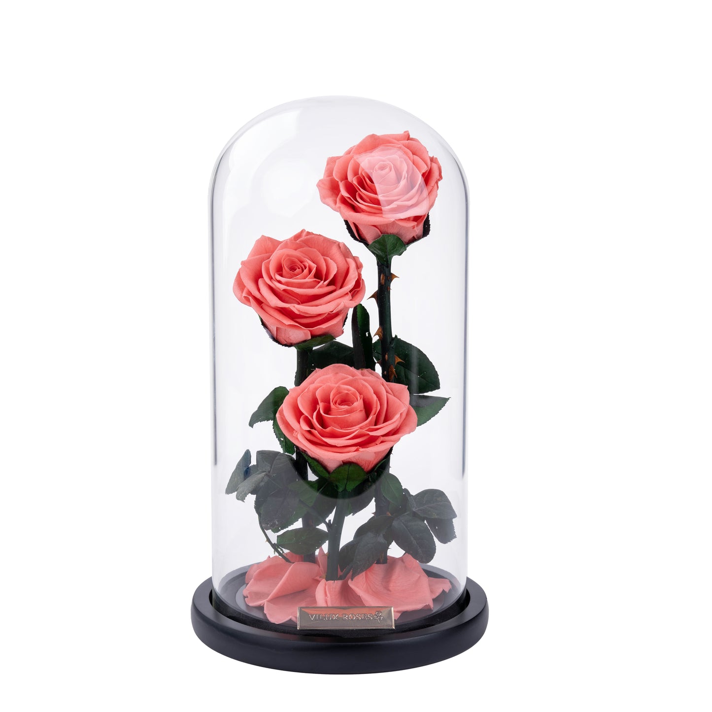 Serafina Rose Dome Trio | Dark Peach