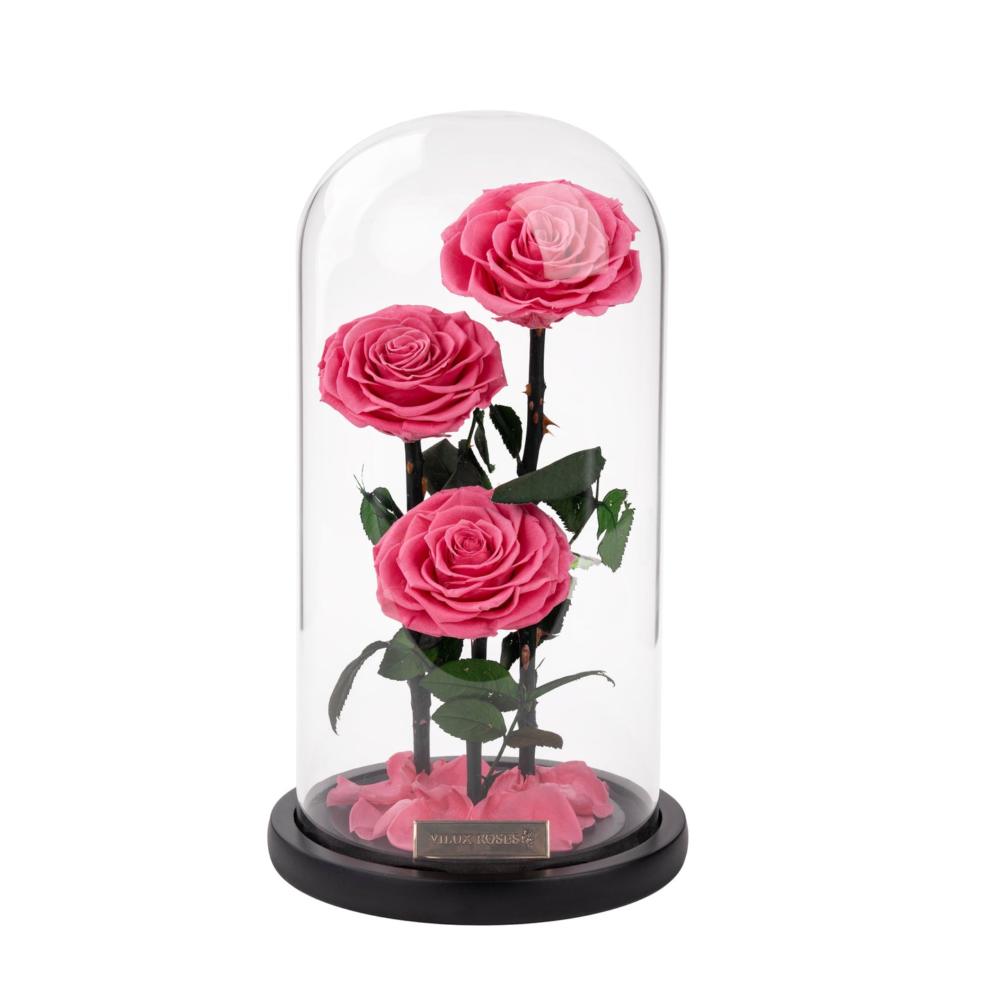 Serafina Rose Dome Trio | Sweet Pink