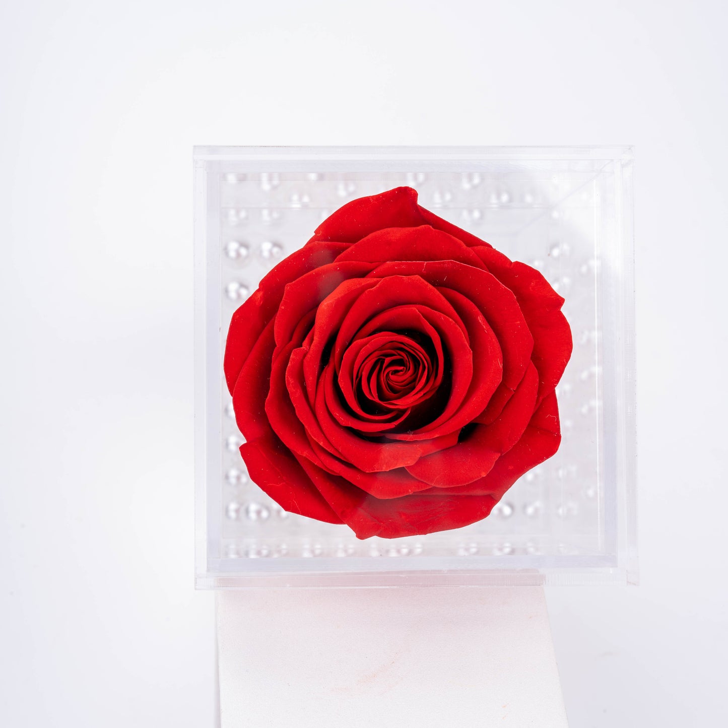 La Mini Single Rose | Red