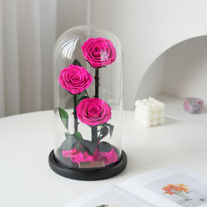 Serafina Rose Dome Trio | Hot Pink