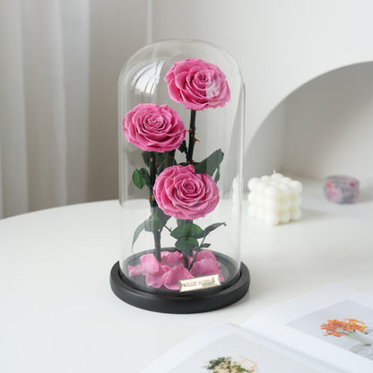 Serafina Rose Dome Trio | Sweet Pink