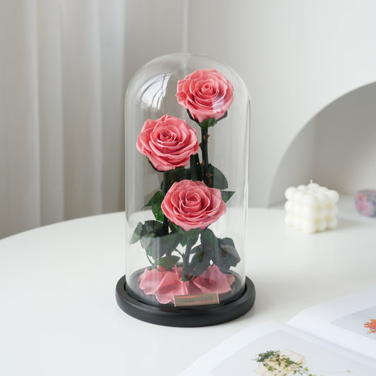 Serafina Rose Dome Trio | Dark Peach