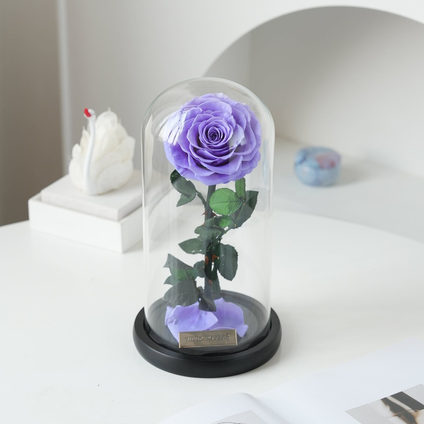 Serafina Rose Dome | Violet