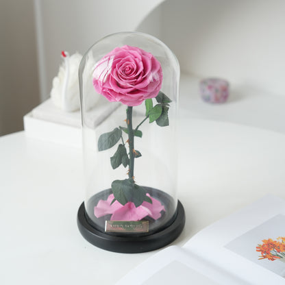 Serafina Rose Dome | Sweet Pink