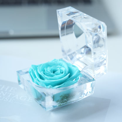 La mini | Tiffany Blue