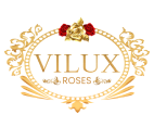 Vilux Roses